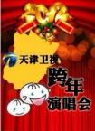 2013天津卫视中国最美跨年夜