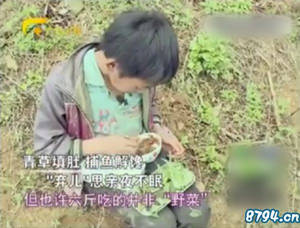 广西杨六斤近况现状/杨六斤吃野菜是真是假/杨六斤的故事视频