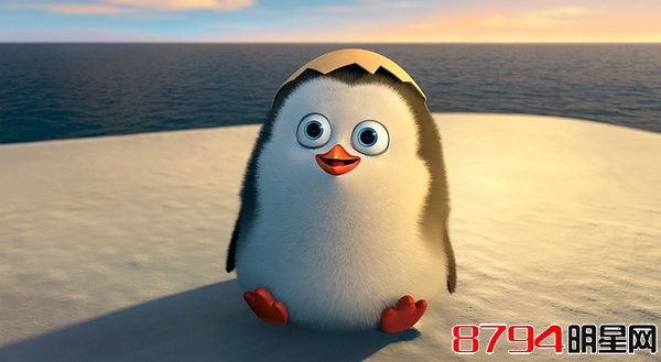 马达加斯加的企鹅影评:企鹅一点也不萌