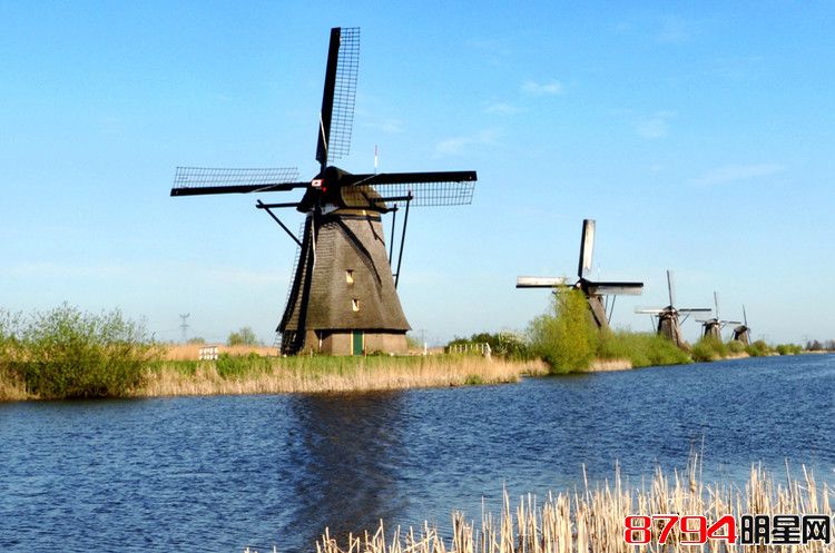 荷兰之旅：风车与鲜花