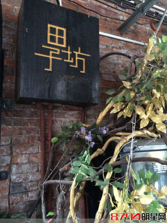 突显老上海的里弄风情---上海田子坊 - 风铃子 - 风铃子