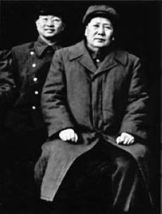 胡志明称赞的中国“美人”将军有多美？