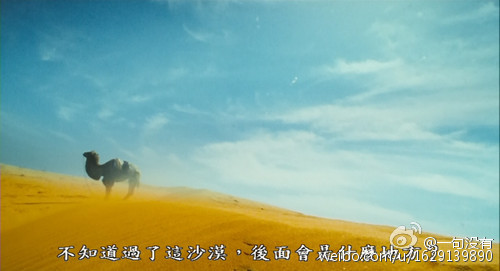 《东邪西毒》致出色的导演王家卫，致美丽的青春3