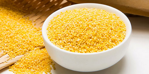 小米的营养价值及功效 小米的营养成分