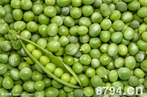 绿豆的功效与作用及禁忌 绿豆的营养价值 绿豆的营养成分