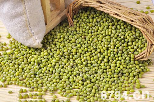 绿豆的功效与作用及禁忌 绿豆的营养价值 绿豆的营养成分