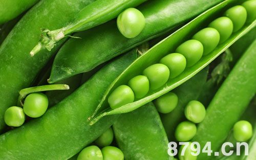 豌豆的营养价值 豌豆的功效与作用及禁忌 豌豆营养成分