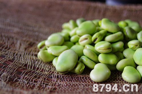 蚕豆的功效与作用及禁忌 蚕豆的营养价值 蚕豆的营养成分