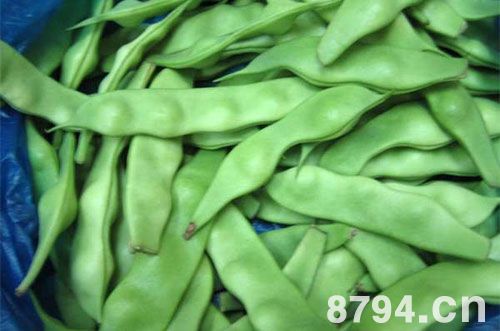 刀豆的功效与作用及食用方法禁忌 刀豆的营养价值成分