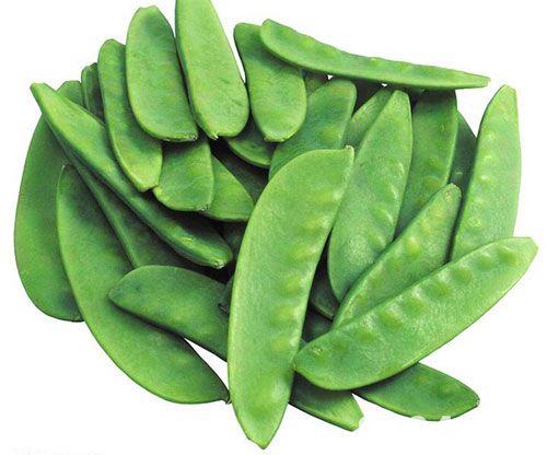 扁豆的功效与作用及禁忌 扁豆的营养价值 扁豆别名:藊豆|白藊豆|眉豆|白扁豆