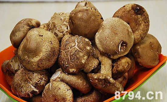 冬菇(香菇)的功效与作用及食用禁忌 香菇的营养价值与食用方法