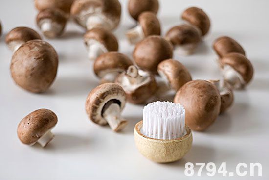 草菇的功效与作用及食用禁忌 草菇的营养价值成分