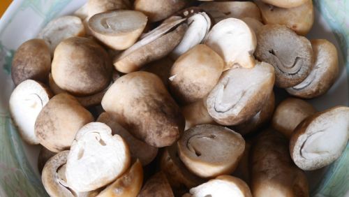 草菇的功效与作用及食用禁忌 草菇的营养价值成分