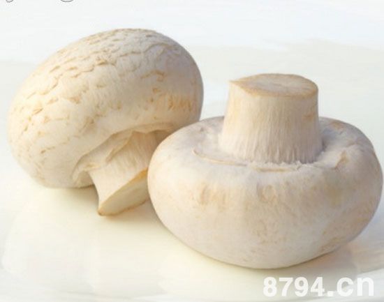 双孢蘑菇(白蘑菇)的营养价值成分