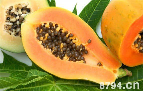 木瓜的功效与作用 木瓜最丰胸的六种吃法 孕妇可以吃木瓜吗