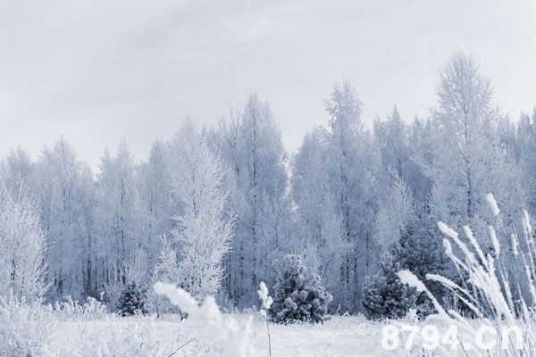 描写冬天的作文辞典 描写初冬景色的句子名家