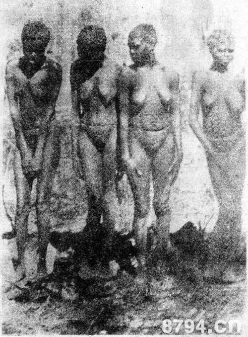 澳大利亚土著女人体