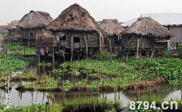 贝宁水上村庄:居民为了强敌 不得不迁移到湖中来居住