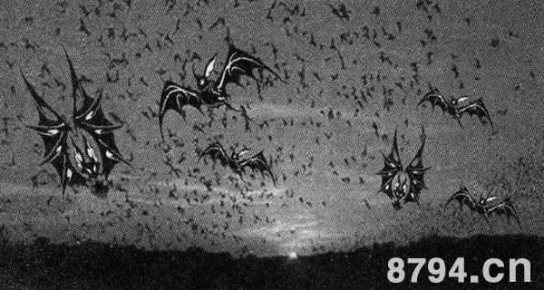 蝙蝠的迁徙之谜