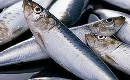 鳕鱼的营养价值成分含量 鳕鱼功效与作用及食疗方选