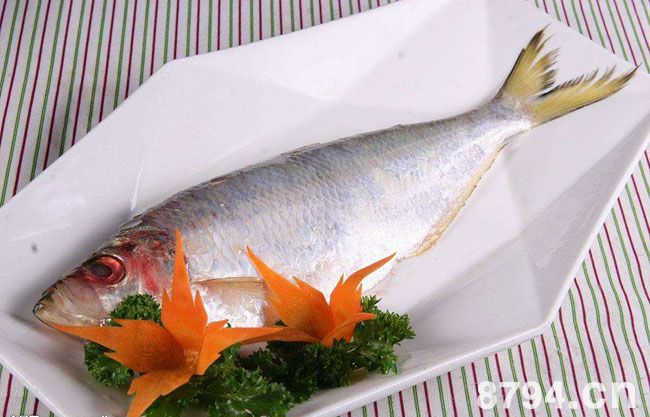 鳓鱼营养成分与功效与作用 鳓鱼食疗方选