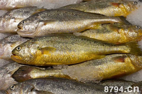 黄花鱼的功效作用与营养成分 石首鱼食疗做法与食用禁忌
