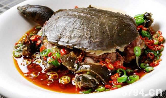 龟肉的功效与营养价值 龟肉的食疗方法