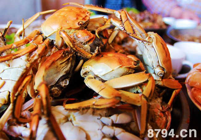 螃蟹的食疗做法与营养成分 螃蟹的功效作用及食用禁忌