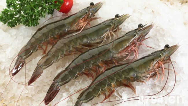 淡水虾的营养价值成分与功效作用 淡水虾食疗做法与食用禁忌