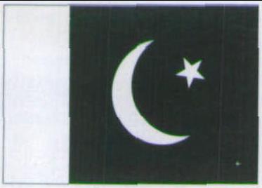 巴基斯坦伊斯兰共和国硬币大全 巴基斯坦伊斯兰共和国硬币正反背景图片