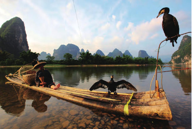 悠闲休憩的渔家把船靠在岸边，任由水鸟嬉戏，山清水秀的桂林成为人与鸟共同 生存的天堂。