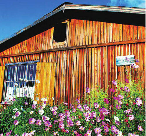 碧草红花掩衬下的“木刻楞式”民房。