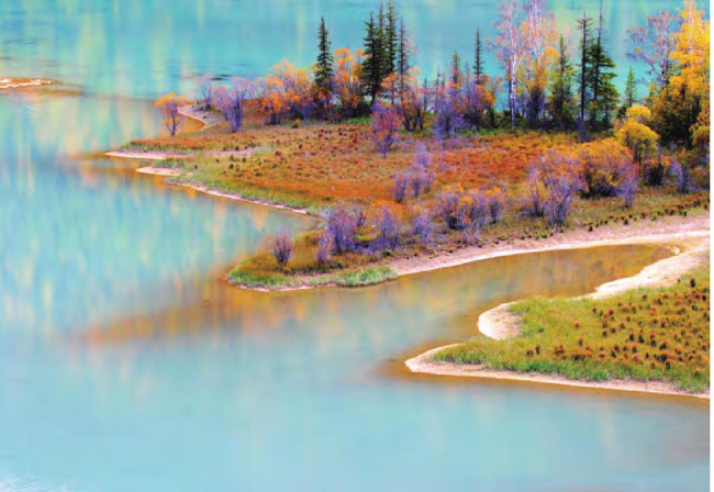 蓝色的湖水环抱着五彩斑斓的湖滩林木，如仙境般梦幻。