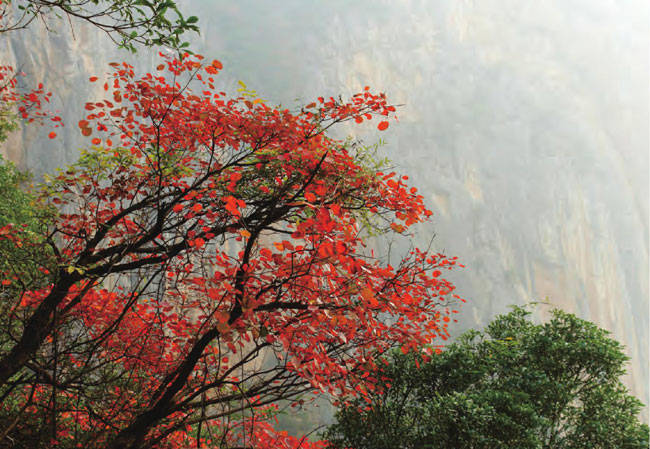 长江三峡几月份去最好 三峡旅游最佳时间 长江三峡烟雨氤氲的山水传奇