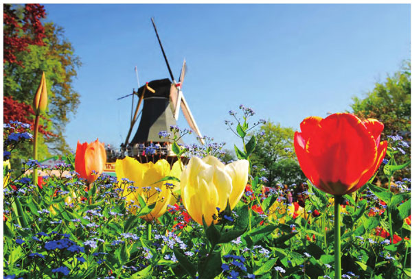 风车之国荷兰最美的城市阿姆斯特丹 阿姆斯特丹旅游攻略景点介绍