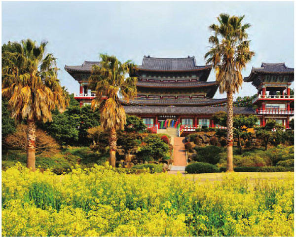 济州岛上的药泉寺是岛上最古老的寺庙之一。
