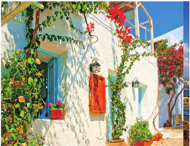 米科诺斯岛上，藤蔓环绕的白色房屋因阳光的照耀而越发纯洁、雅致。