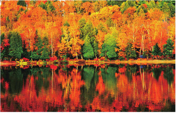 加拿大秋天最美的地方枫叶大道 有着全球红叶季节开始的地方的美誉